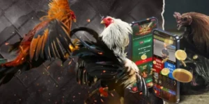 Cách Chơi Đá Gà GA28 Tại FB88 Dễ Thắng Nhất 2025 Cho Cược Thủ