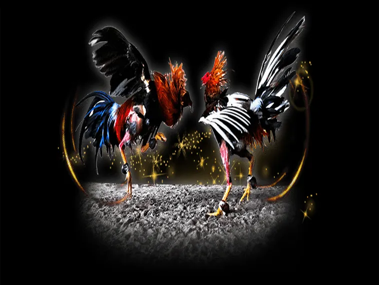 Đá Gà FB88 Hấp Dẫn Nhất 2025 Cho Người Chơi Cá Cược Online